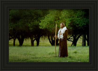 Lord Of The Vineyard
