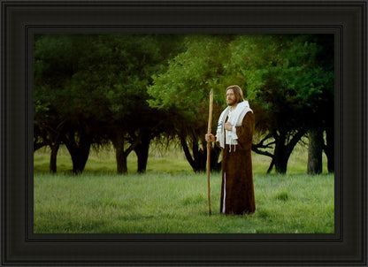 Lord Of The Vineyard