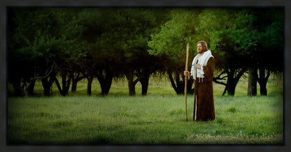 Lord Of The Vineyard Gallery Wrap