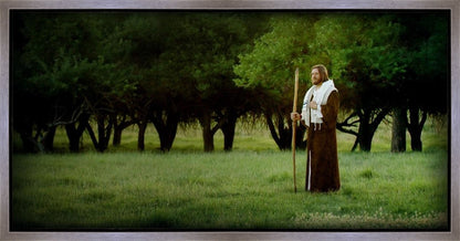 Lord Of The Vineyard Gallery Wrap