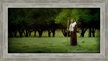 Lord Of The Vineyard