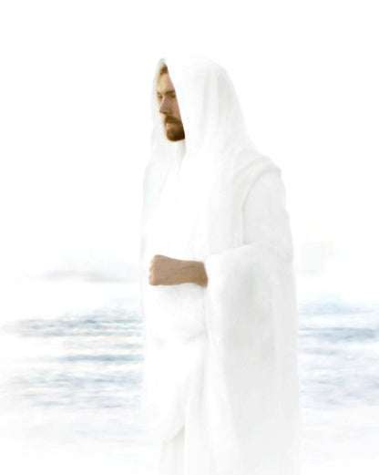 Peace in Christ