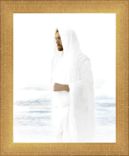 Peace in Christ