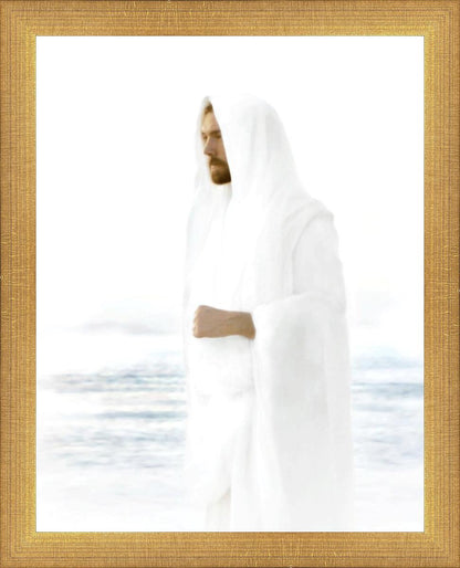 Peace in Christ