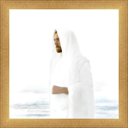 Peace in Christ