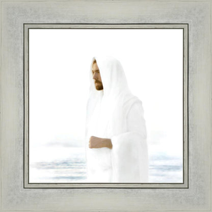 Peace in Christ