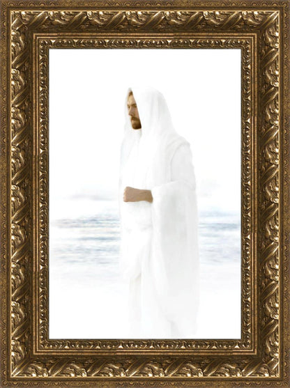 Peace in Christ