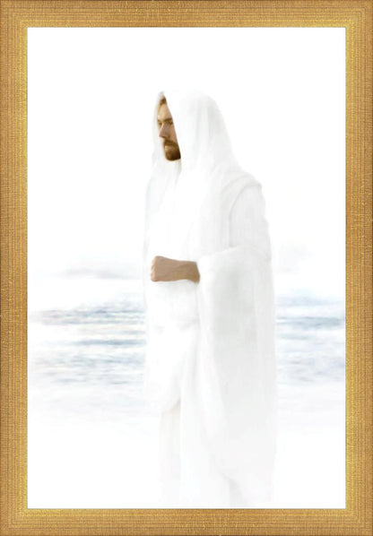 Peace in Christ