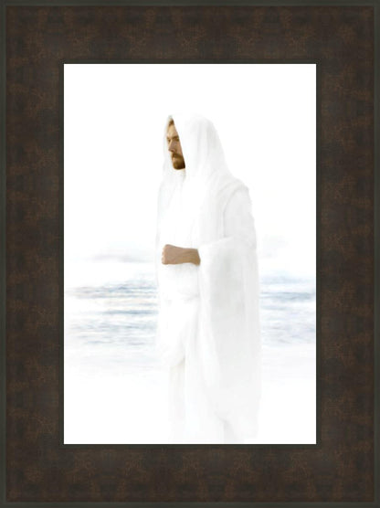 Peace in Christ