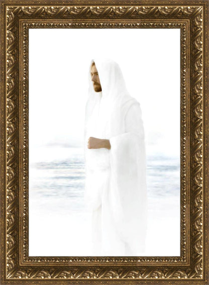 Peace in Christ