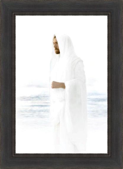 Peace in Christ