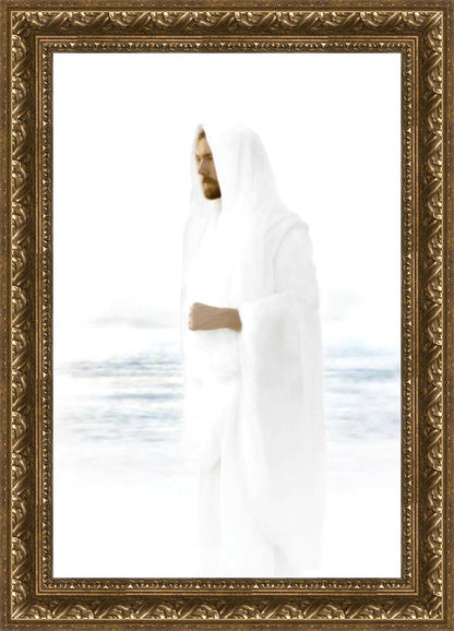 Peace in Christ