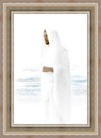 Peace in Christ
