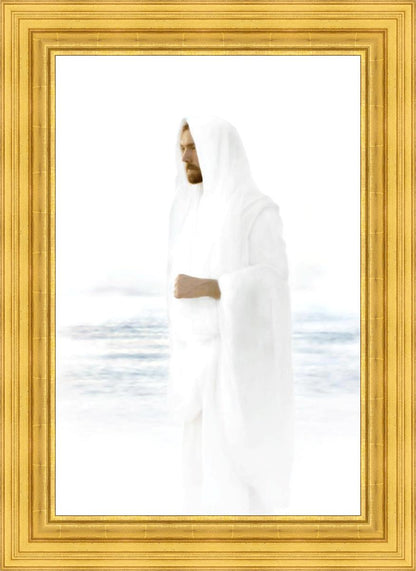 Peace in Christ