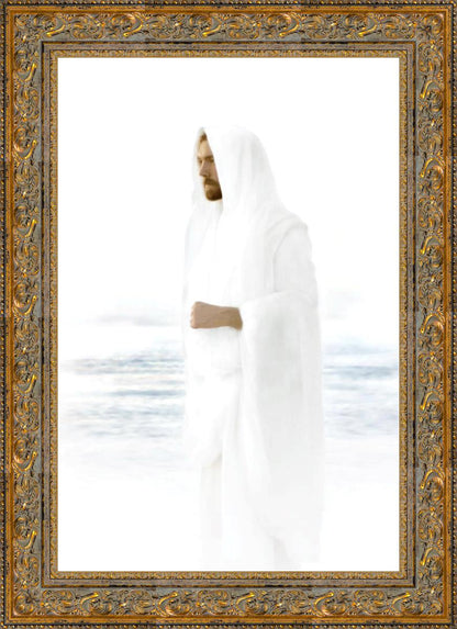 Peace in Christ