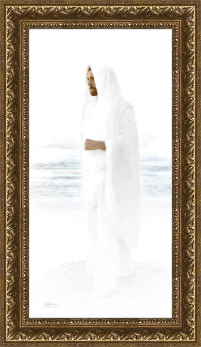 Peace in Christ