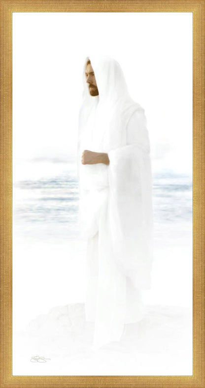 Peace in Christ