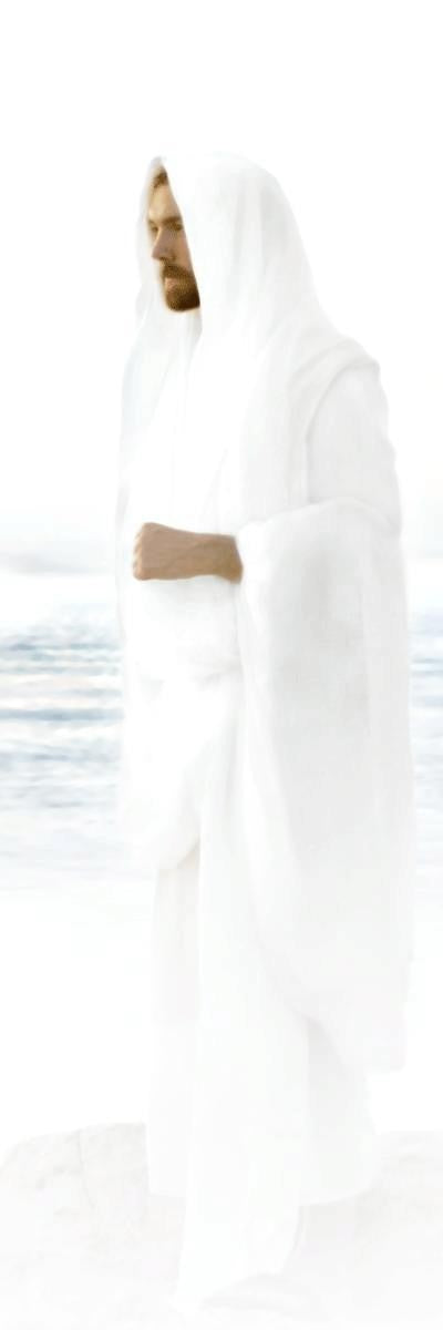 Peace in Christ Gallery Wrap