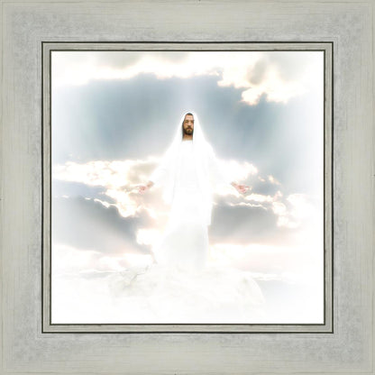 Behold