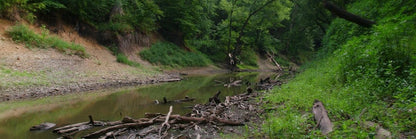The Creek_Hauns Mill Gallery Wrap