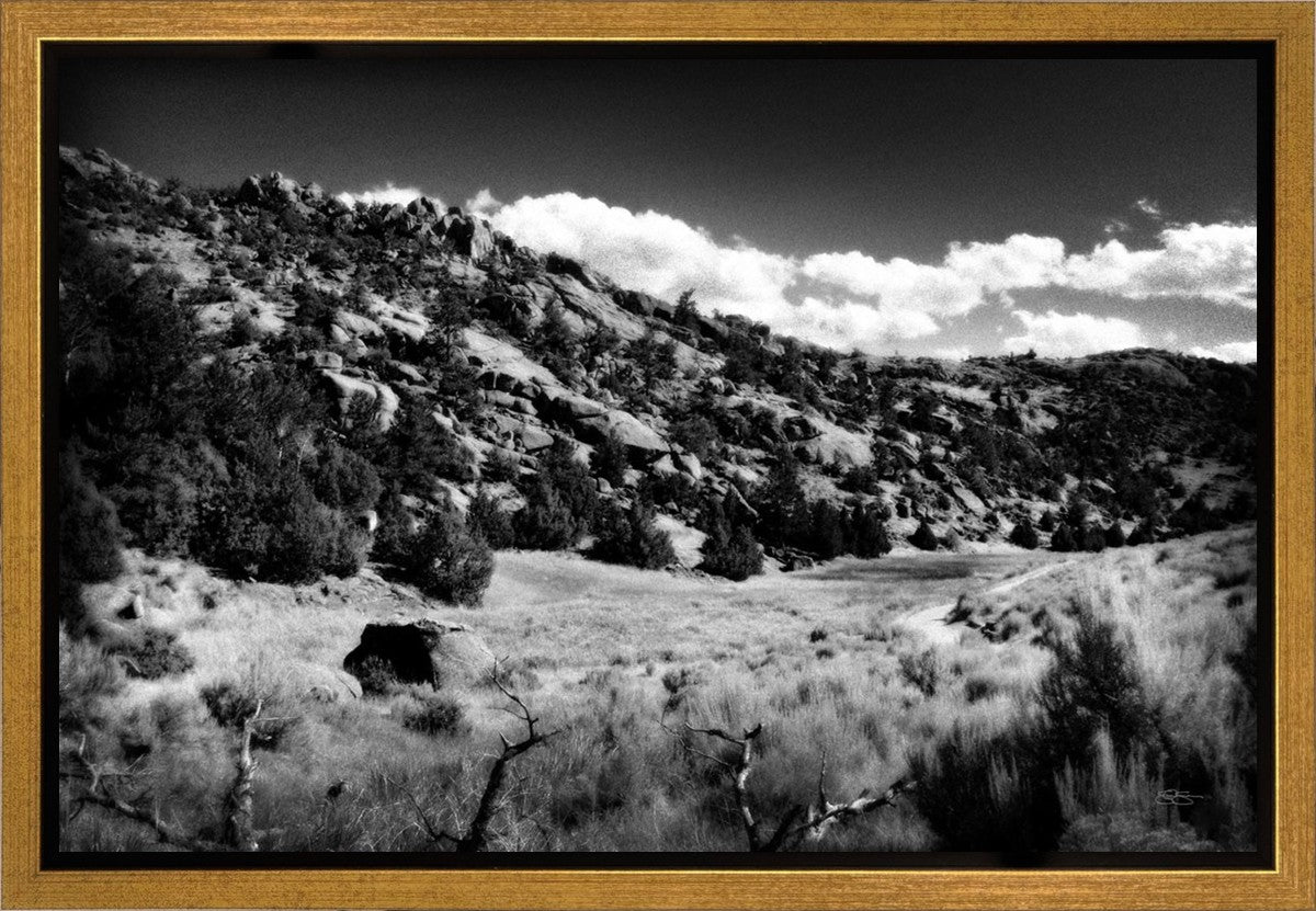 The Cove_Martins Cove