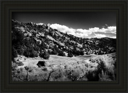 The Cove_Martins Cove