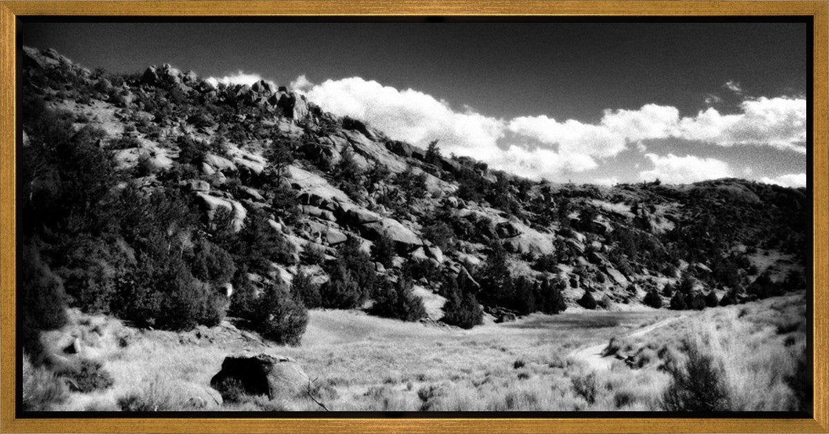 The Cove_Martins Cove