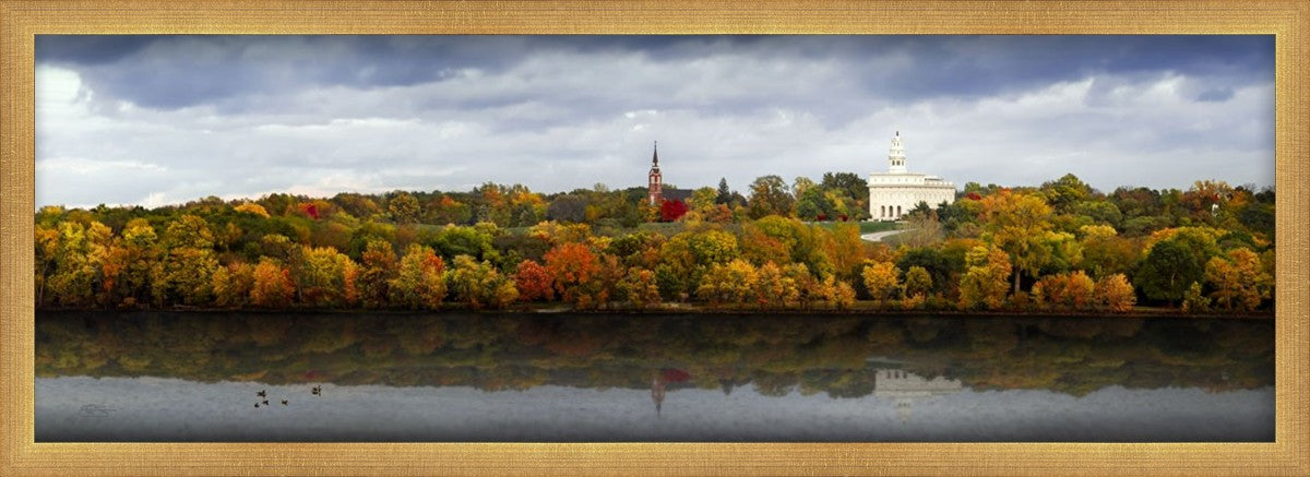 Autumn Splendor