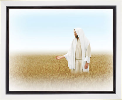Lord of the Harvest Gallery Wrap