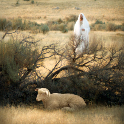He Will Find Me Gallery Wrap