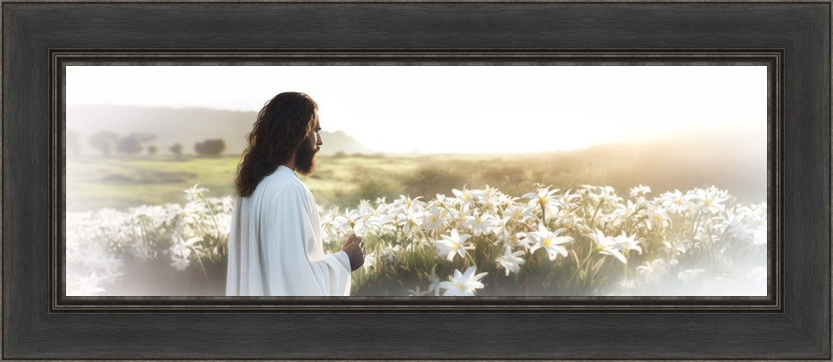 Consider The Lilies