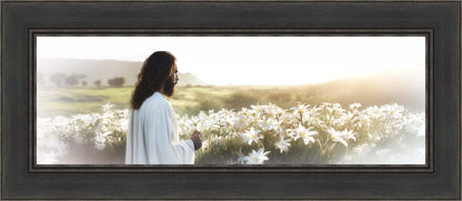 Consider The Lilies