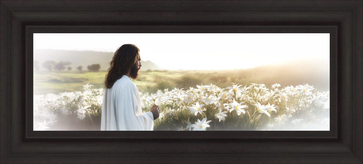 Consider The Lilies
