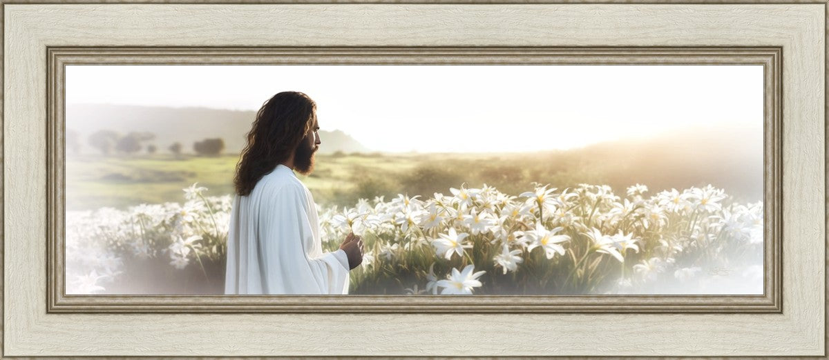 Consider The Lilies