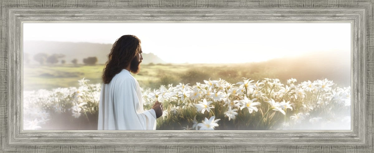 Consider The Lilies