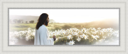 Consider The Lilies