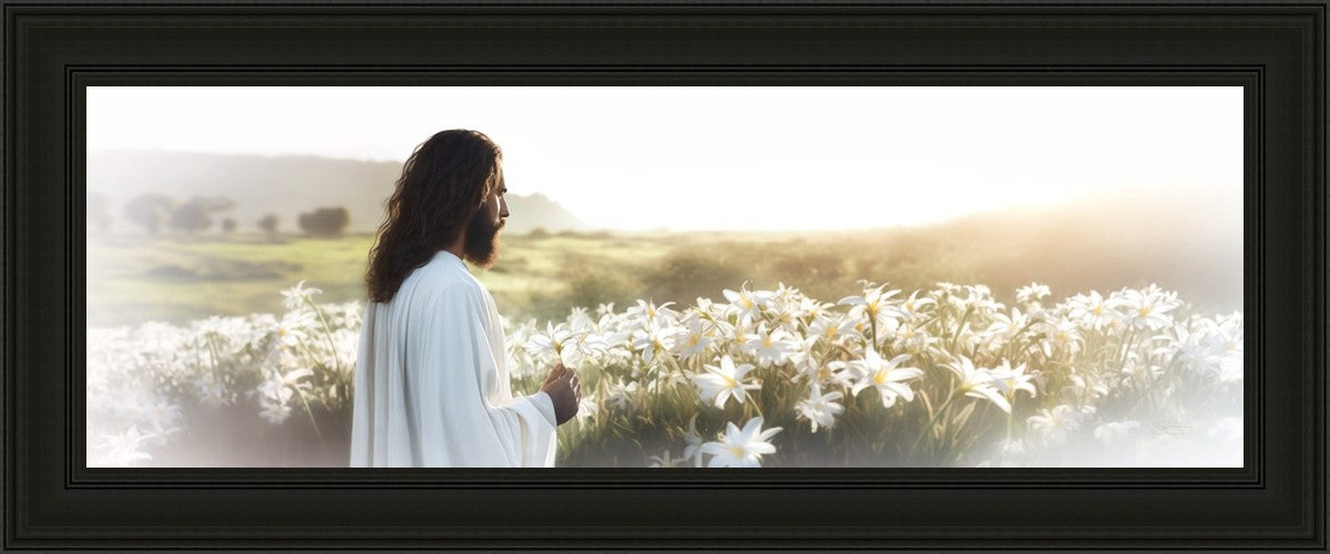 Consider The Lilies