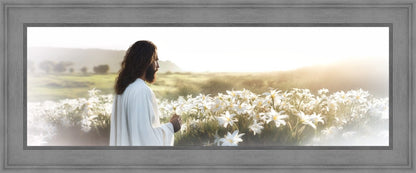 Consider The Lilies