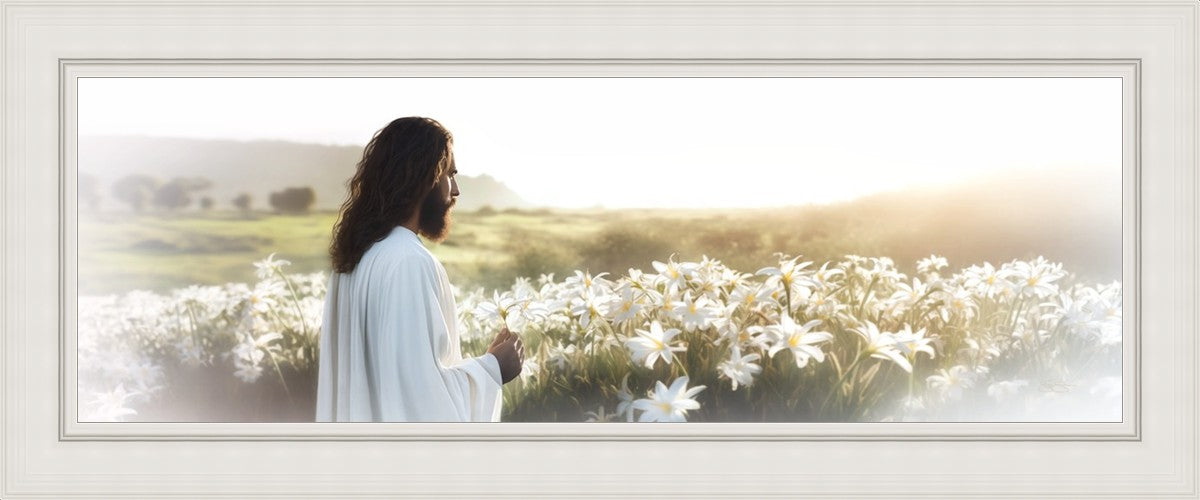 Consider The Lilies