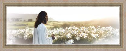 Consider The Lilies Large Wall Art