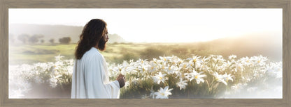Consider The Lilies Large Wall Art
