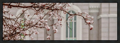 Mount Timpanogos Temple Snowfall Gallery Wrap