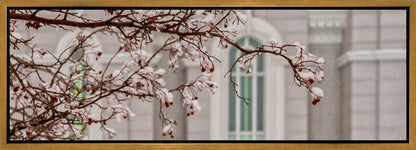 Mount Timpanogos Temple Snowfall Gallery Wrap