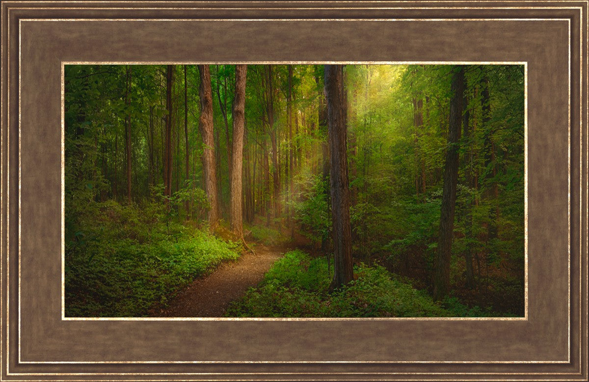 Sacred Grove