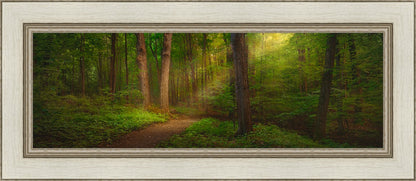 Sacred Grove