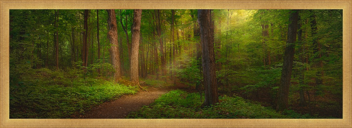 Sacred Grove