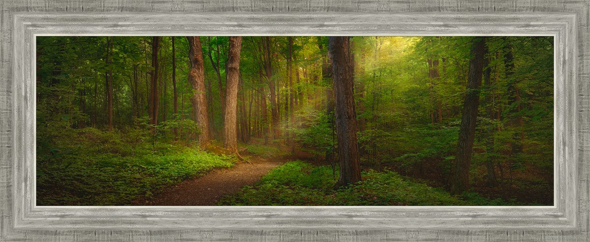 Sacred Grove