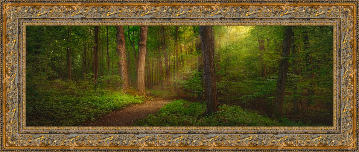 Sacred Grove