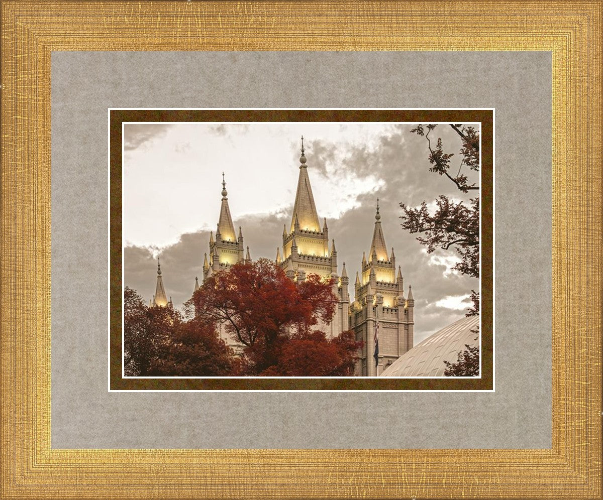 Salt Lake Temple 05