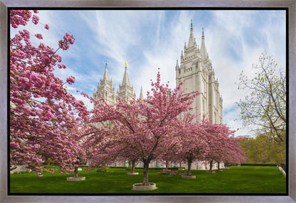 Salt Lake Spring Blossoms Gallery Wrap